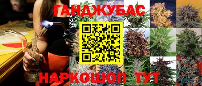дживик Можга