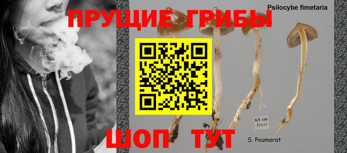 Галлюциногенные грибы Клин
