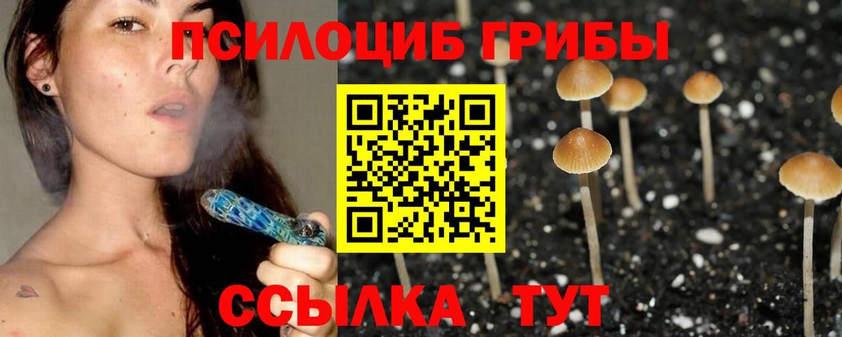 Клин  Галлюциногенные грибы мицелий  Вход с VPN  Псилоцибиновые грибы GOLDEN TEACHER 